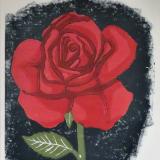 Red Rose on Dark Blue