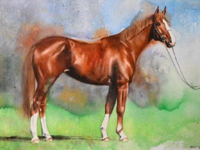 The beauty of the Hannoverian horse, 38cm x 56cm, 2021 The beauty of the Hannoverian horse, 38cm x 56cm, 2021