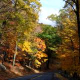 Sunny Highway to Paradise