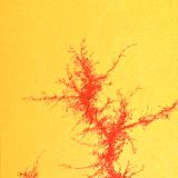 Zephyr Series No. 28
