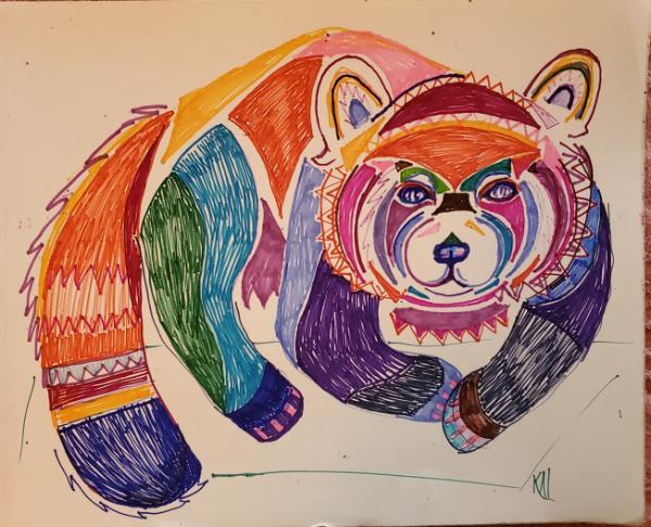 The Red Panda Bear