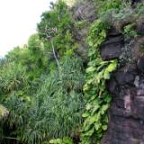 Hula heiau Hula heiau