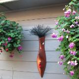 Dream Mask in patio between two Fuchsias