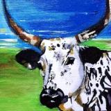 Nguni