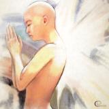 Bodhi Bodhi