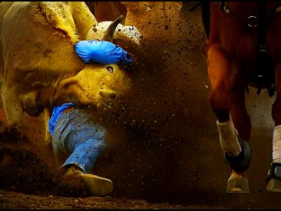 Sisters Rodeo Steer Wrestler