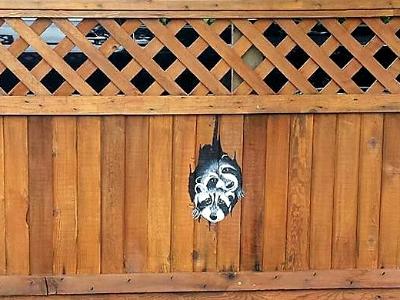 peeking fence mural