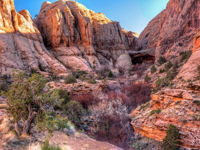 Canyon and Morning Glory Natural Bridge Canyon and Morning Glory Natural Bridge