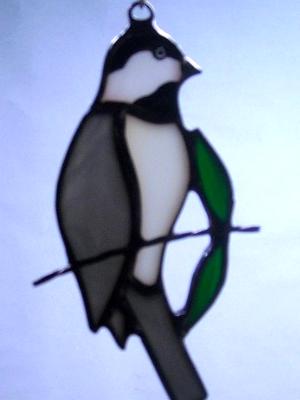Black-capped chickadee Black-capped chickadee
