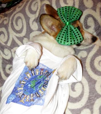 xs children Tee $5.00 donation to Bandits band aids xs children Tee $5.00 donation to Bandits band aids