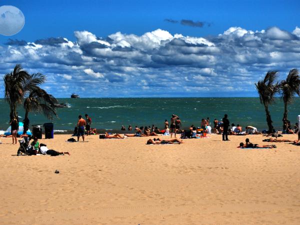 SUMMER IN CHICAGO