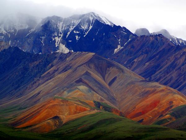 Colors of Denali