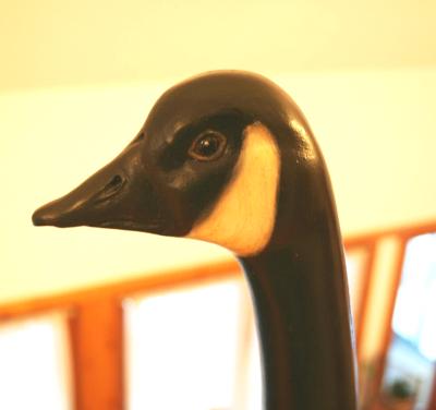 Detail Head of Hand Carved Canada Goose