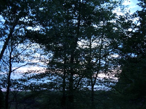 Moonscape over Chilhowee