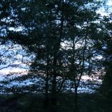 Black Bear Mountain Arts