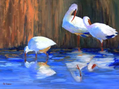 Ibis 3 Ibis 3