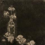 Cone flowers and Lemons (M1)