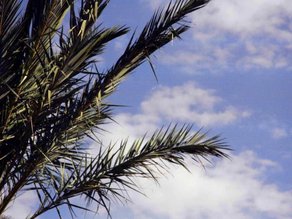 View While Sunbathing