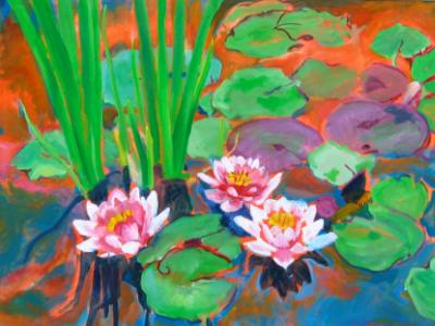 Lily Pond 11