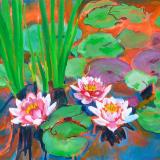 Lily Pond 11