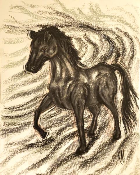 Black Horse in Grayscale 