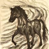 Black Horse in Grayscale 