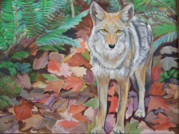 Coyote Encounter - Framed