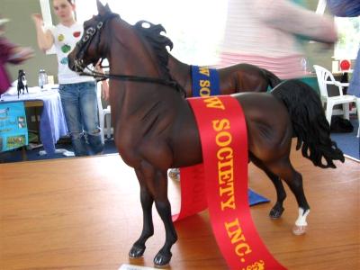 Bowral Live 2011