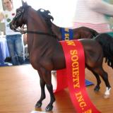 Bowral Live 2011