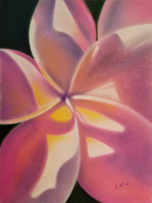 "Pink Plumeria"