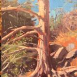 Wise Tree 9x12" oil