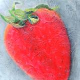 Berry Berry Strawberry