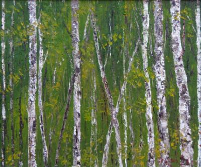 Birch 5