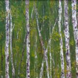 Birch 5