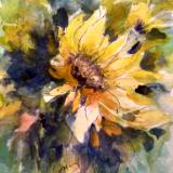 Sunflower Day