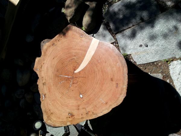 Redwood slab