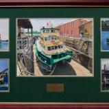 Sydney Ferries Presentation