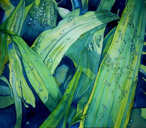Dew Drops