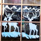 Deer in the woods