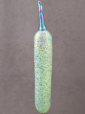 #07052209 cattail 10''Hx1.5''W $65 #07052209 cattail 10''Hx1.5''W $65
