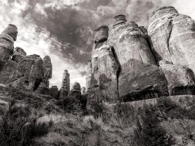 Fiery Furnace Fins Black and White Fiery Furnace Fins Black and White