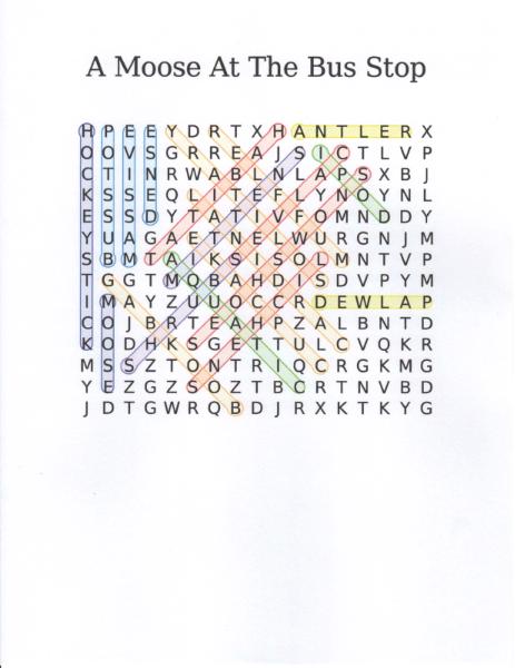 Word Search Answer Sheet