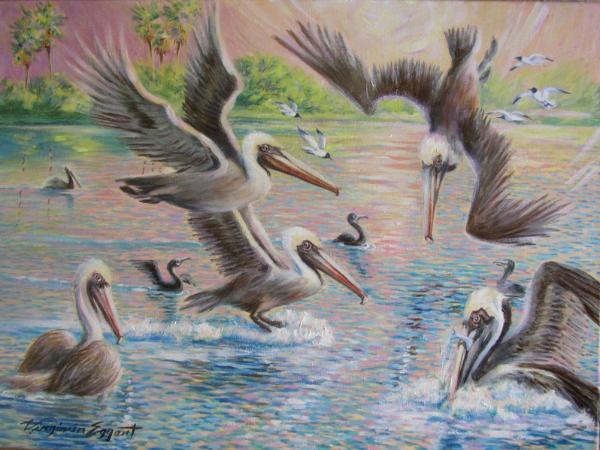 Fishing Pelicans