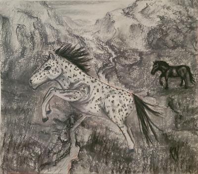 Appaloosa in Grayscale 