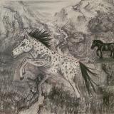 Appaloosa in Grayscale 