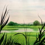 Shelter Island Blades