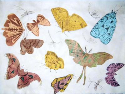 Lepidoptera II Lepidoptera II