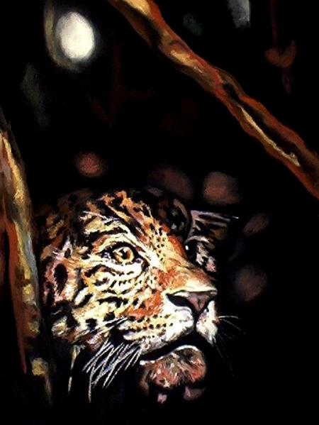 Dark With Excessive Bright