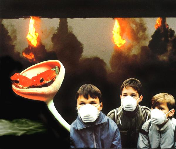 Multiple Chemical Sensitivity, 2005.