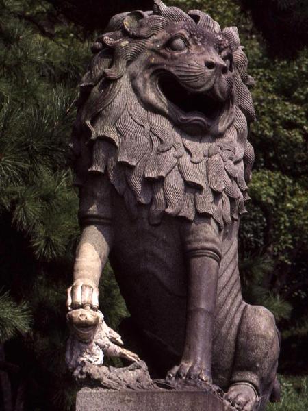 Chinese Lion